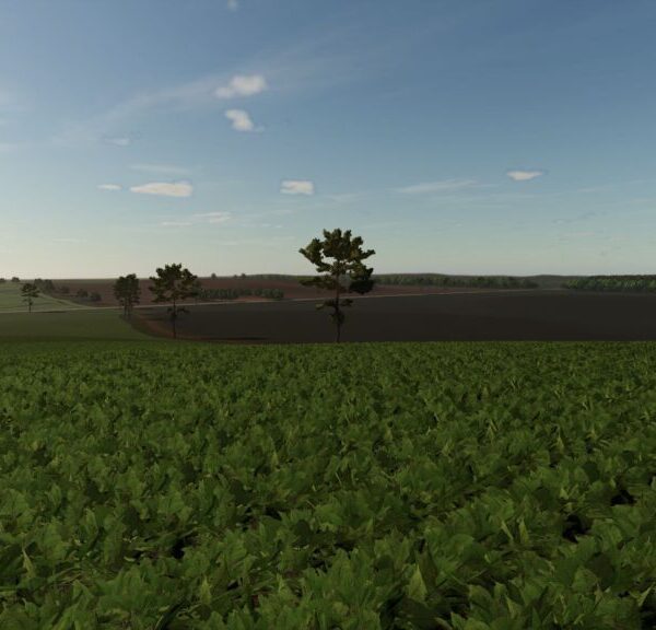 Fazenda-Nova-Esperanca-1024x576-1-600x576 Startseite