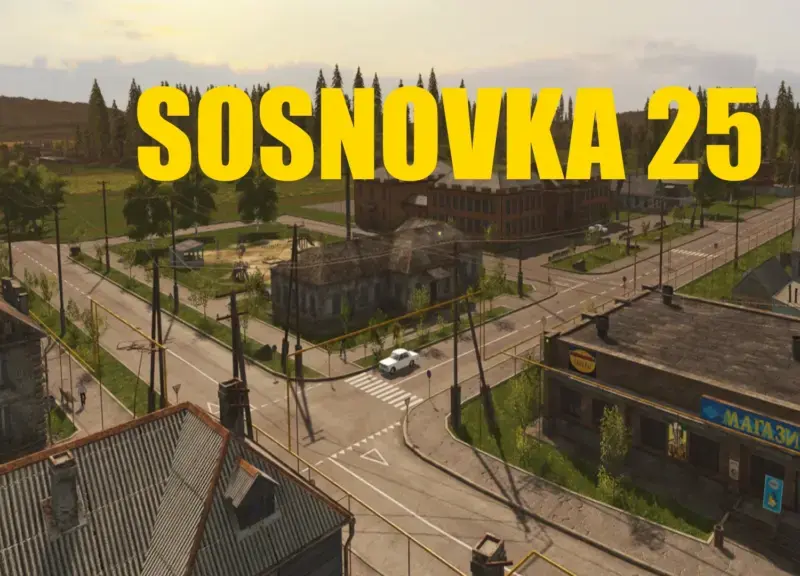 SOSNOVKA 25 
